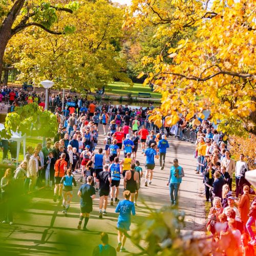 MARATONA DI AMSTERDAM | 42K,21K,8K 2022